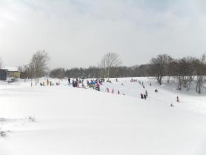 湯川公園雪遊びの写真