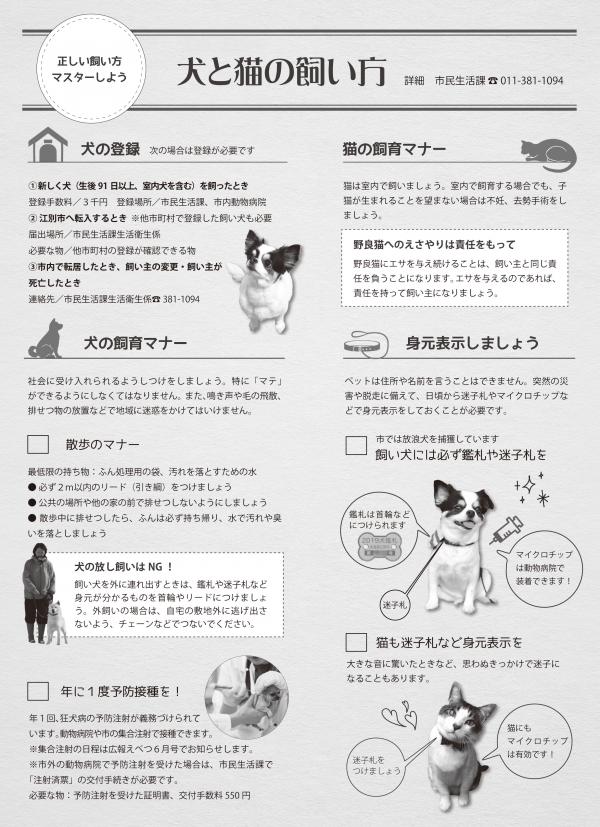 犬と猫の飼い方に関するチラシの写真