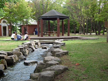 泉の沼公園広場の写真です。