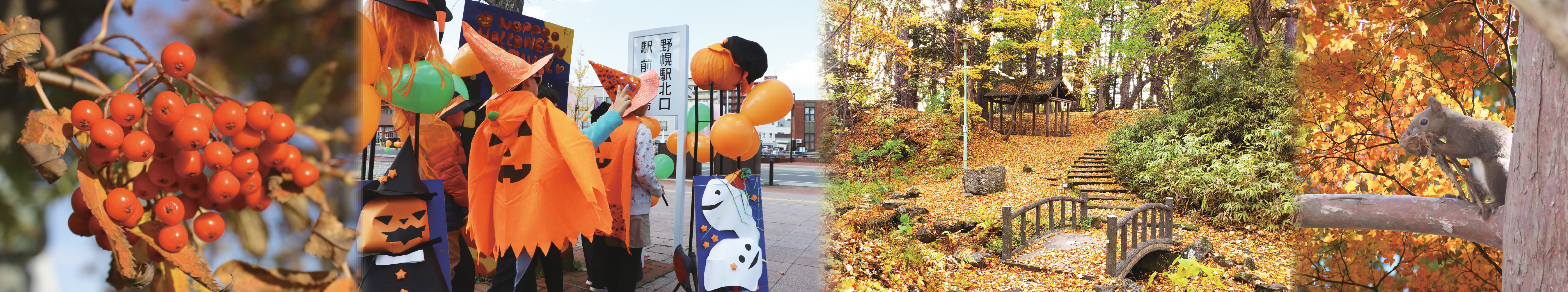 江別市メイングラフィック画像
