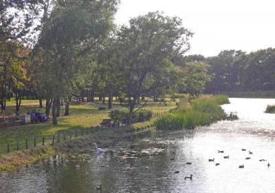 泉の沼公園の水辺：水辺に映える初夏の沼景の写真