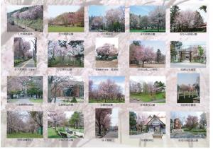 桜MAPの写真