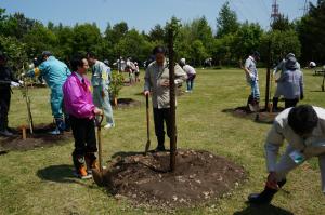 市民の皆さんと植樹作業する三好市長