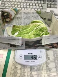24時間後