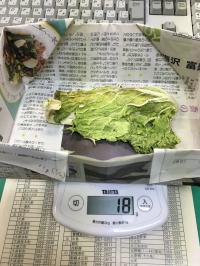 120時間後
