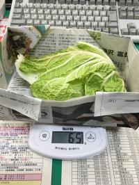 乾燥前
