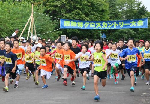 原始林クロスカントリーの写真1