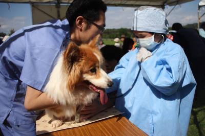 動物愛護フェスティバルの写真