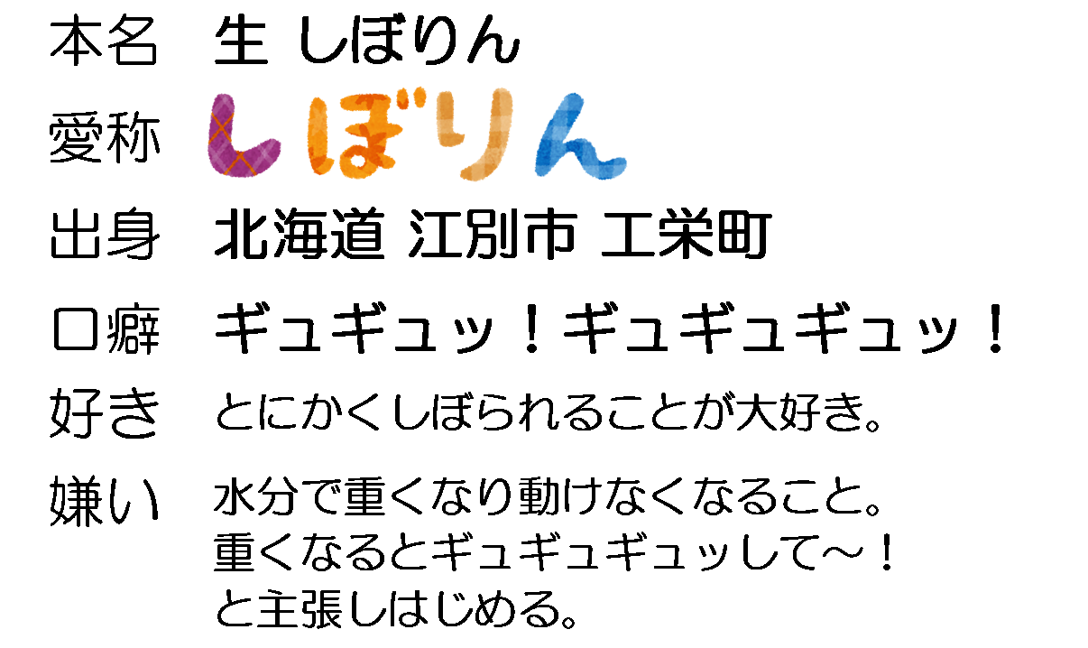 しぼりんの自己紹介
