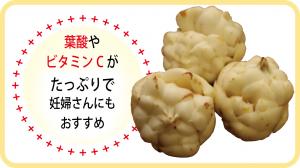 ゆり根の紹介写真
