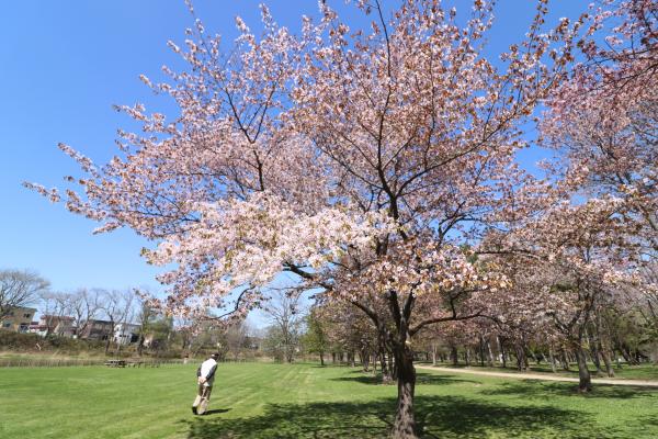 泉の沼公園の写真2