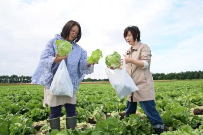 畑でレストラン