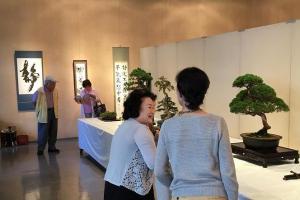 市民文化祭　盆栽展示の写真