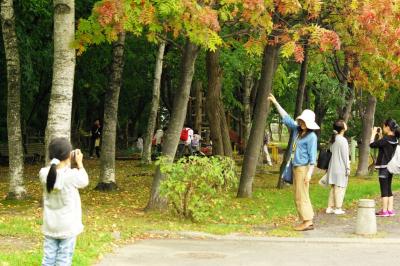 フォトウォークラリー　公園での風景撮影の写真01