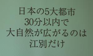 記者会見で紹介された投影画像の写真