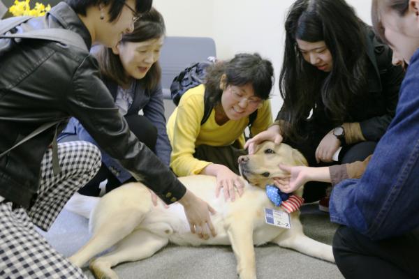 学生になでられてうっとりするエース君の写真