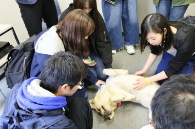 学生に囲まれてお腹をだして喜ぶエース君の写真