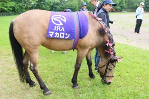 マカロン号の写真