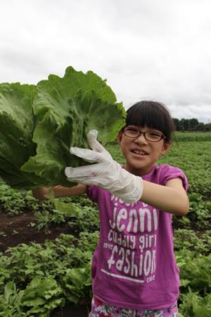 野菜満喫ツアーの写真2