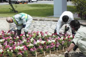 花の植栽作業中の写真