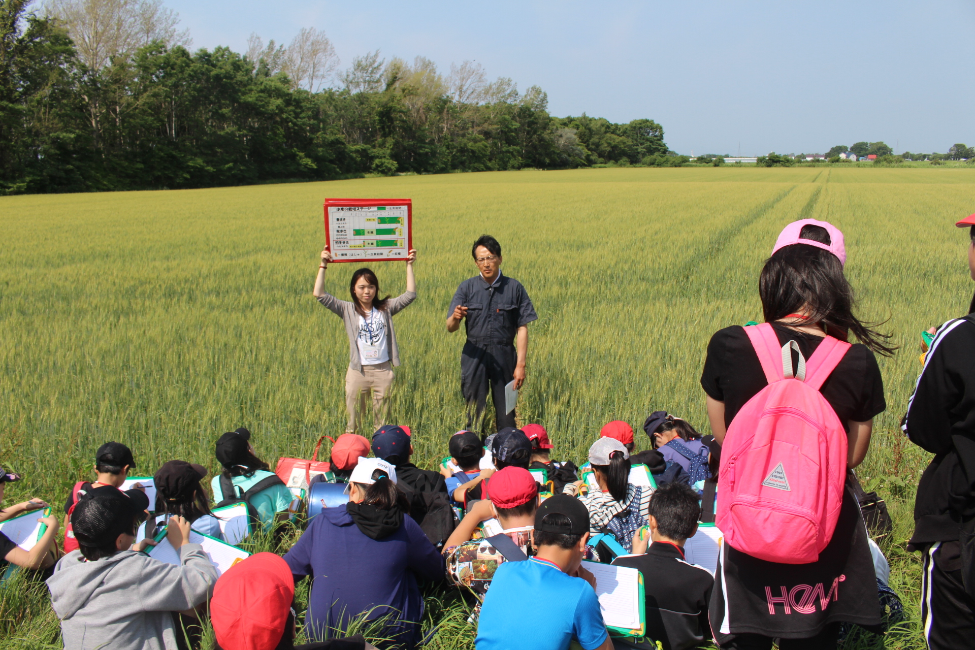 小麦追跡学習