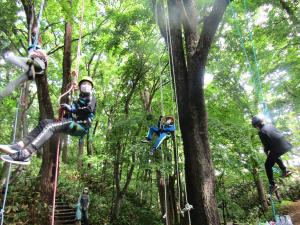 湯川公園でのツリーイング体験の写真