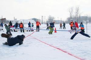 えべつ・冬のスポーツまつりの雪上クロス綱引きの写真
