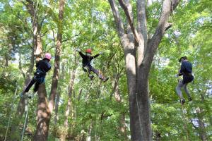 市内の小学生が湯川公園でツリーイングを体験！