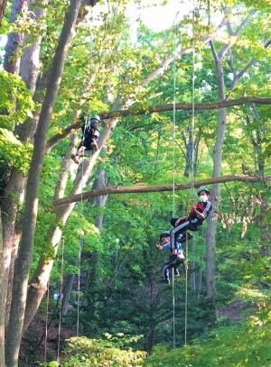 市内の小学生が湯川公園でツリーイングを体験！