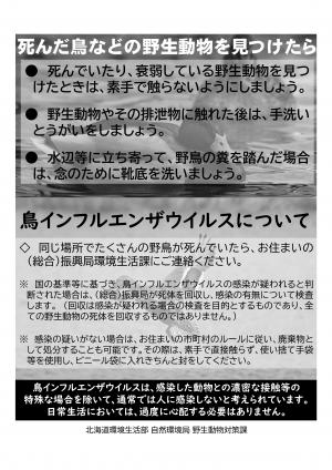 死んだ鳥などの野生動物を見つけたら