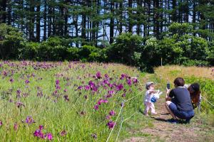 ノハナショウブ群生地で記念撮影する家族