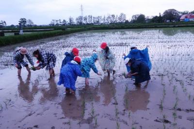 泥だらけ！小学生の田植え体験