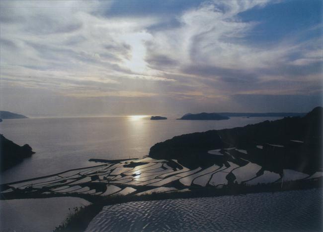宮坂棚田1