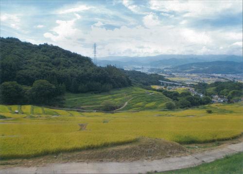 宮坂棚田2