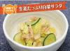 サムネイル＿生姜たっぷり白菜サラダ