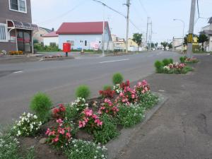 東光