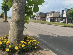 元江別本町