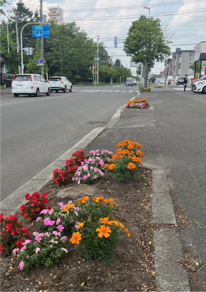錦新生