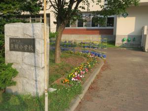 豊幌小学校