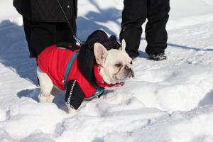 雪遊び②