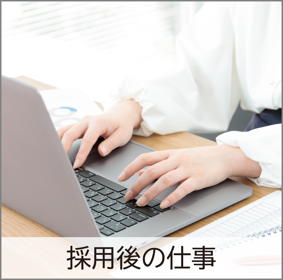 採用後の仕事