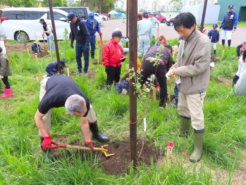 市長の植樹の様子