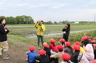 2025.6月　小学生田植え体験4