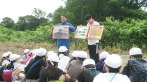 児童が小麦畑で説明を受けている様子