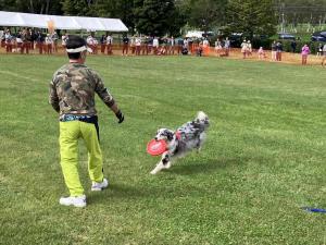 2025　動物愛護フェスタ2