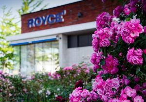 ロイズ上江別店ローズガーデン