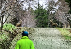 林木育種場敷地