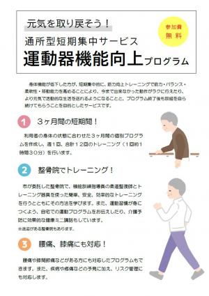 運動機能向上チラシ　画像