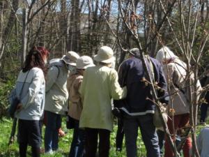 にりんそうの集い
