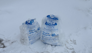 冬期用画像データ